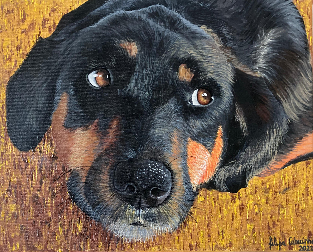 Hand-painted realistic pet portrait in acrylic on canvas by Filipa Cabecinha, created from a customer's photo.